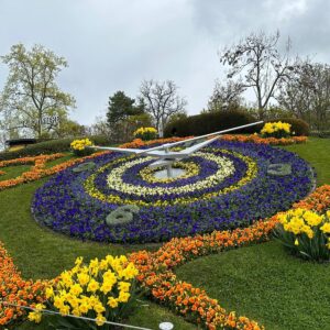 WhatsApp Image 2024-10-22 at 17.10.33